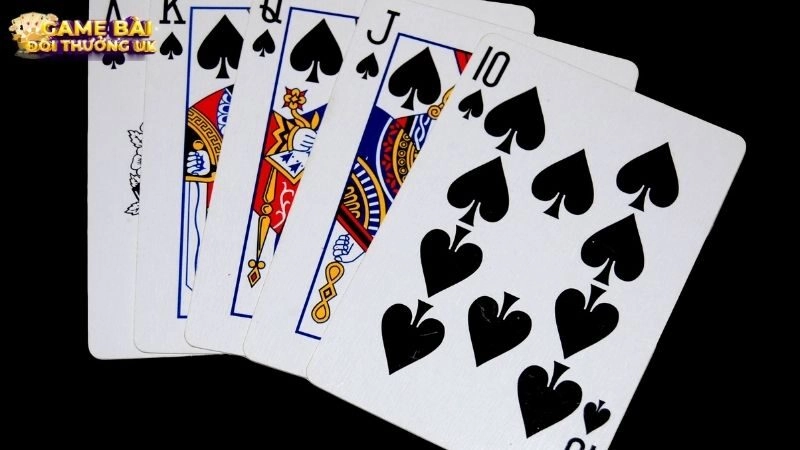 Tiến lên đếm lá